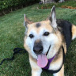 Meet your Posher, Eleanore